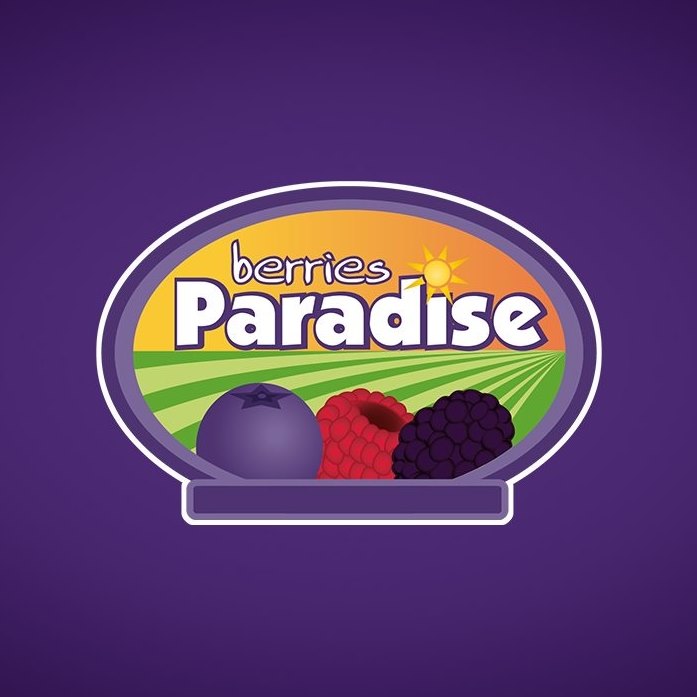 Berries Paradise The Organic Box